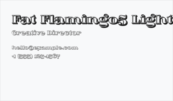 Fat Flamingo5 Lightbox Business Card