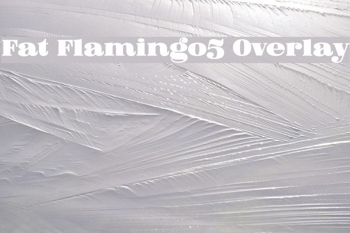 Fat Flamingo5 Overlay Example 1