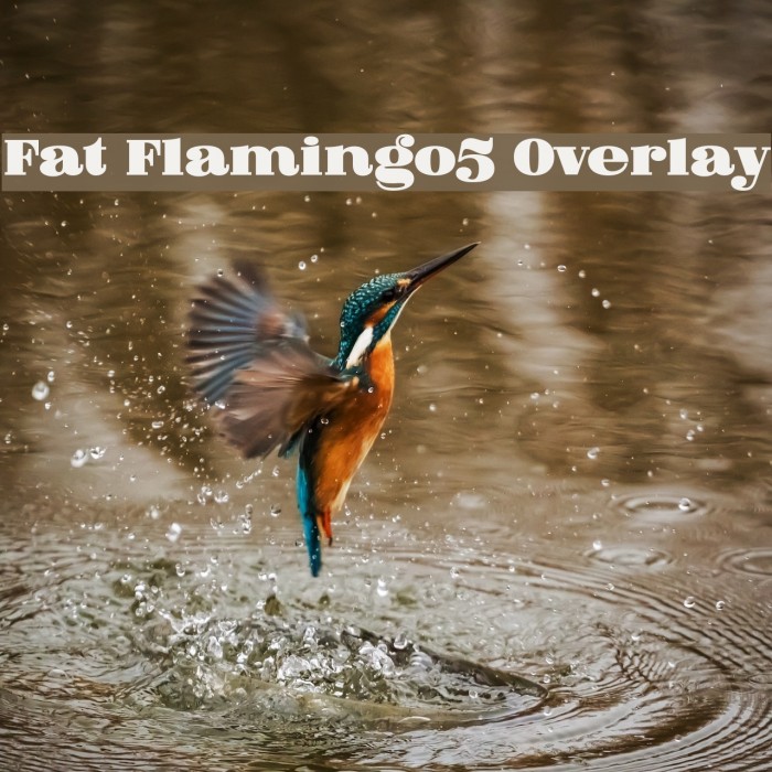 Fat Flamingo5 Overlay Example 2