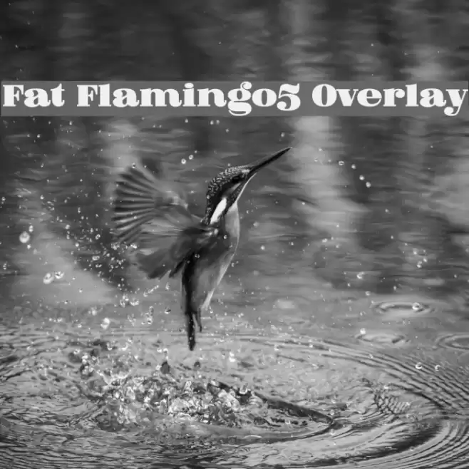 Fat Flamingo5 Overlay Font examples