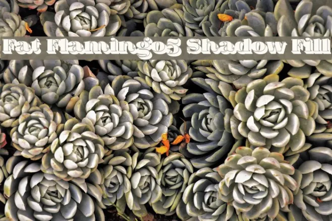 Fat Flamingo5 Shadow Fill Example 3