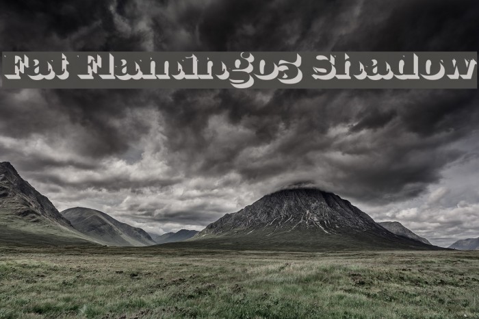 Fat Flamingo5 Shadow Font examples