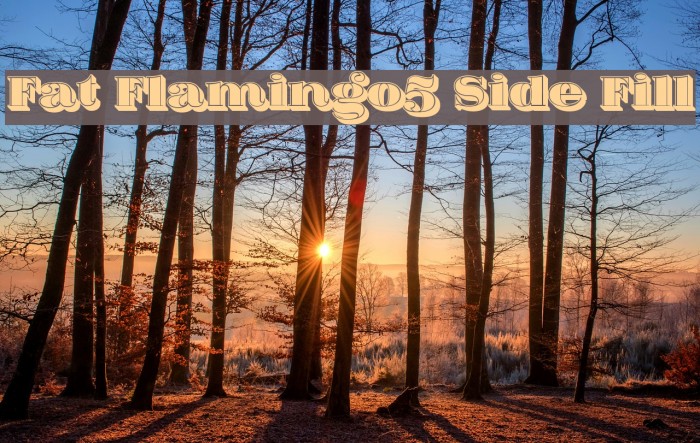 Fat Flamingo5 Side Fill Font examples