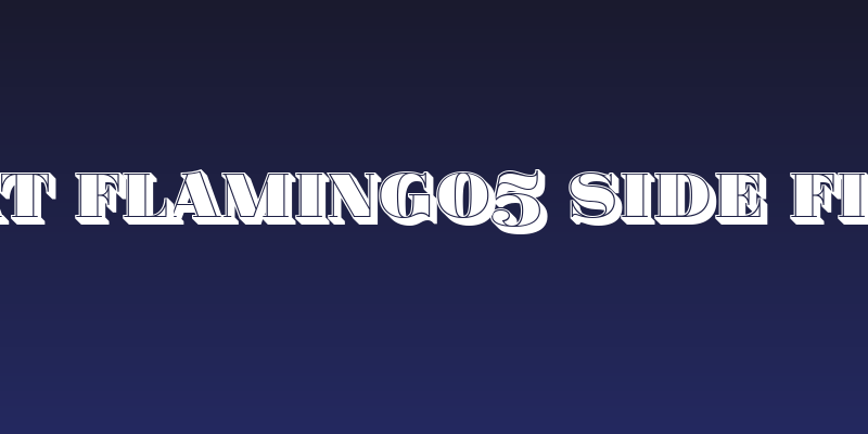 Fat Flamingo5 Side Fill Social Header