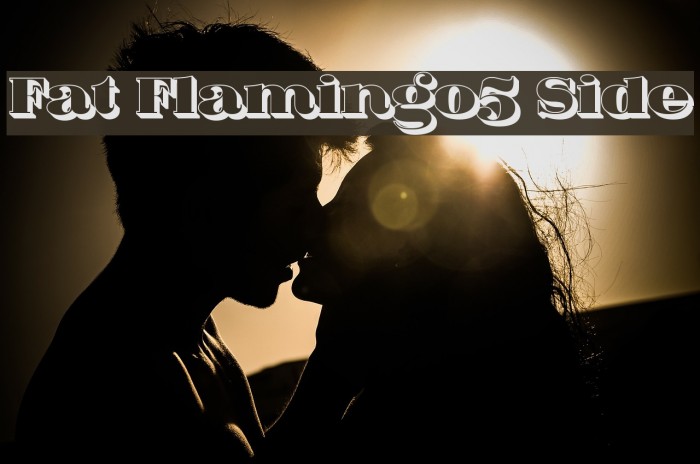 Fat Flamingo5 Side Font examples