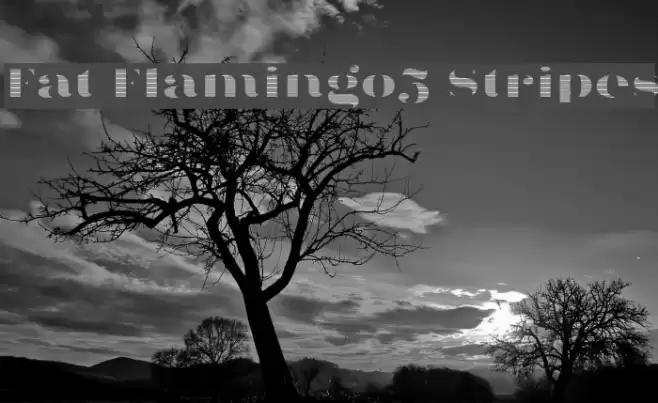 Fat Flamingo5 Stripes Font examples