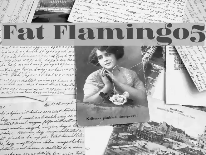Fat Flamingo5 Font examples