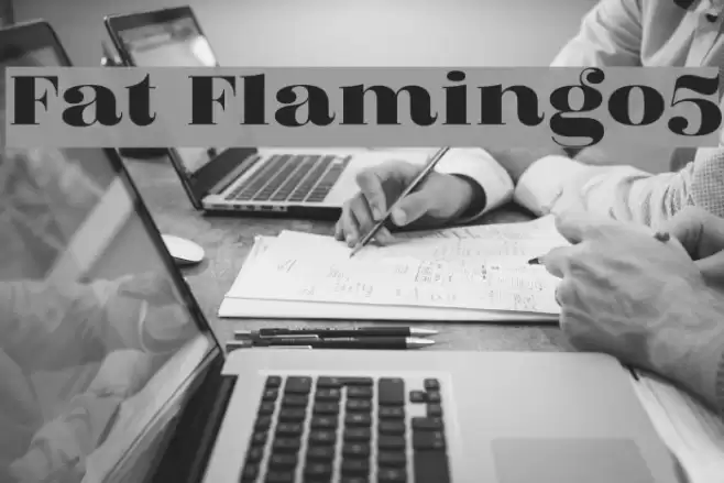 Fat Flamingo5 Font examples