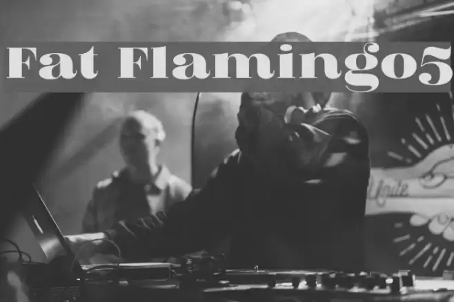 Fat Flamingo5 Font examples