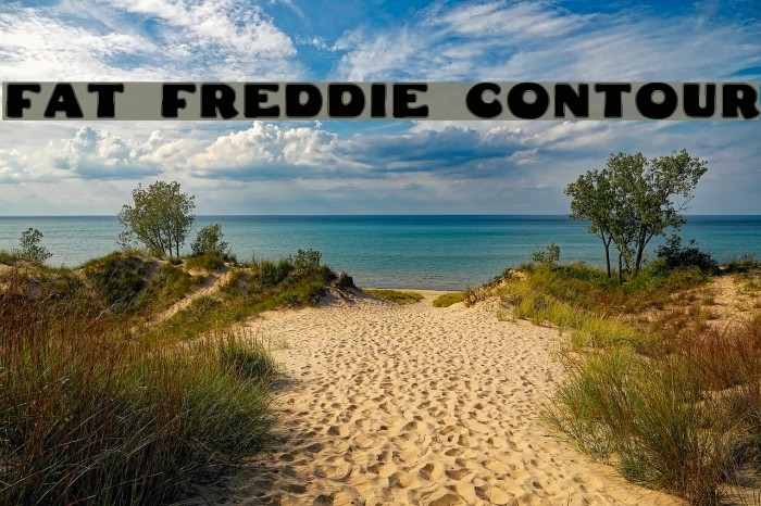 Fat Freddie Contour Font examples