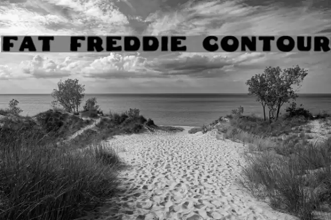 Fat Freddie Contour Font examples