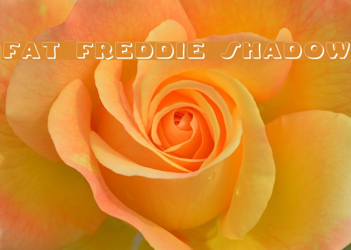 Fat Freddie Shadow Font examples