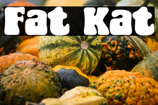 Fat Kat Example 1