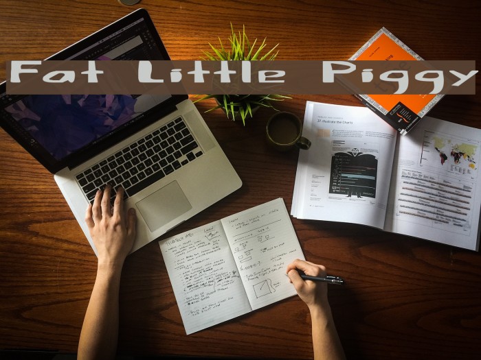 Fat Little Piggy Example 1