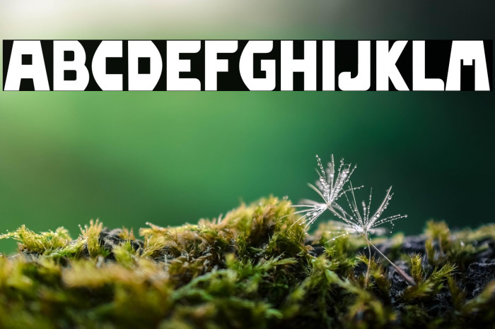 Fat Max Regular Example 2