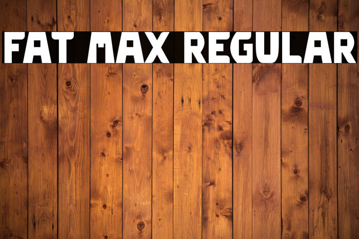 Fat Max Regular Example 2