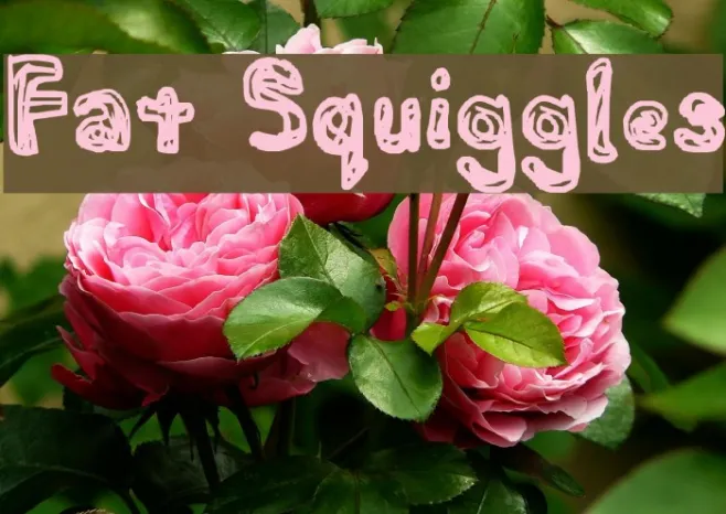 Fat Squiggles Example 1