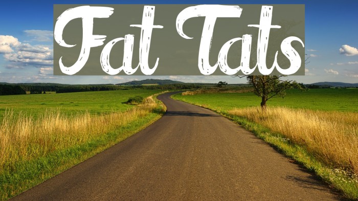 Fat Tats Font examples