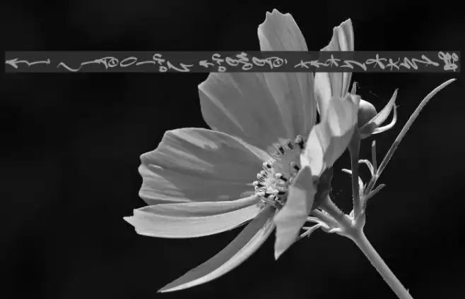 Fat Wandals Element PERSONAL Font examples