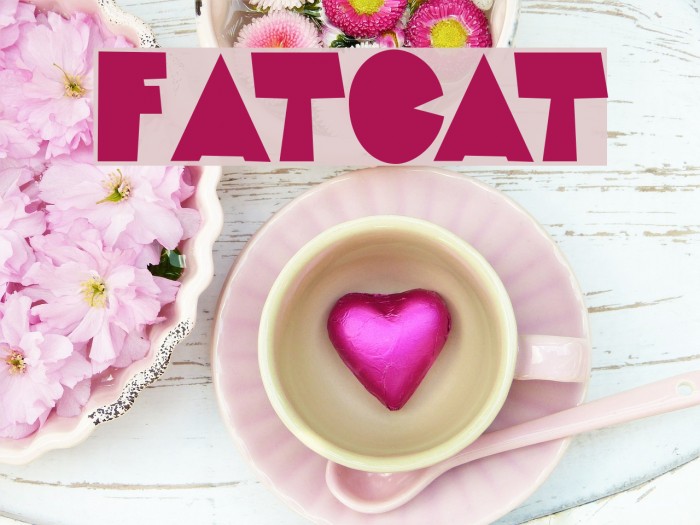 FatCat Font examples