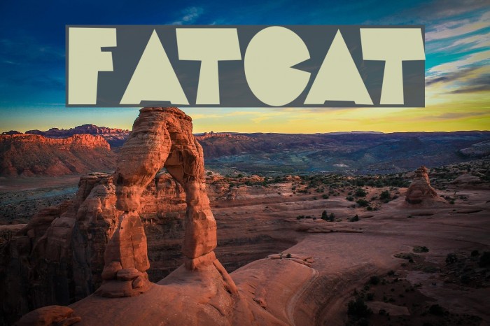 FatCat Font examples