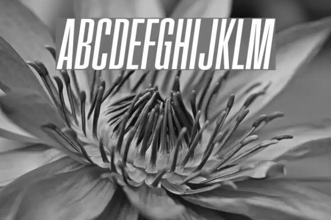 FatCow Italic Font examples