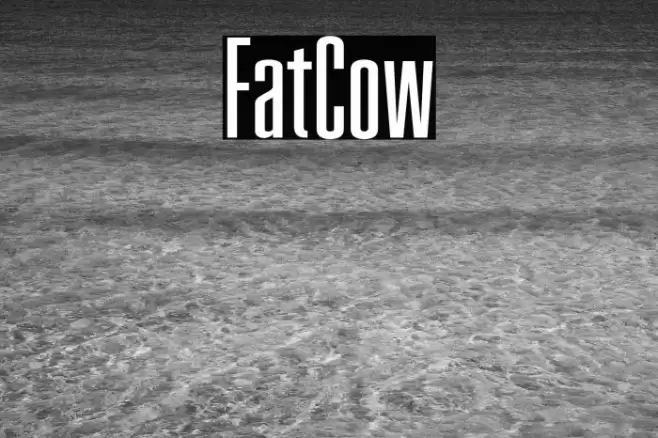 FatCow Font examples