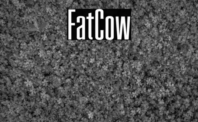 FatCow Font examples