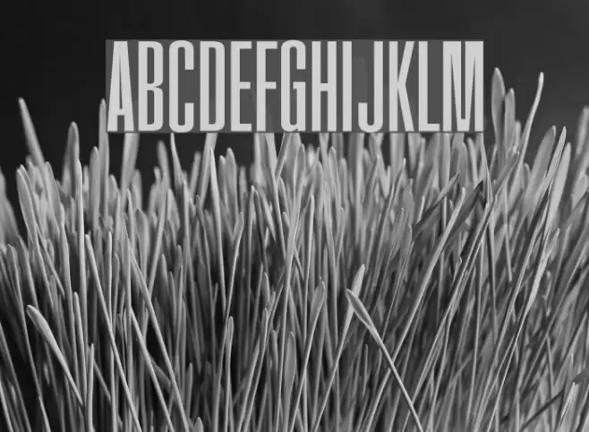 FatCow Font examples