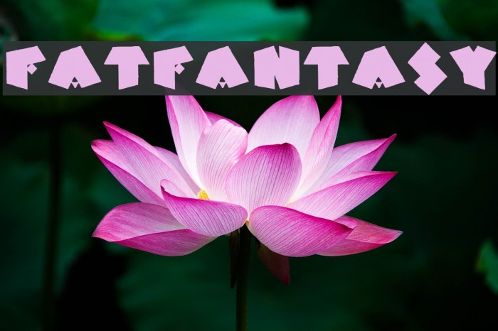 FatFantasy Example 1