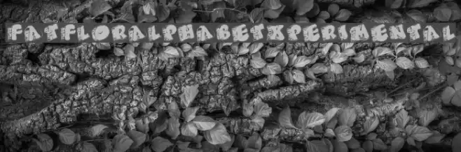 FatFloralphabetXperimental Font examples