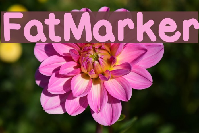 FatMarker Font examples