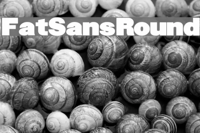 FatSansRound Font examples