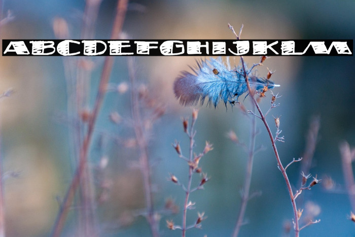 FatStack BB(RUS BY LYAJKA) Example 1