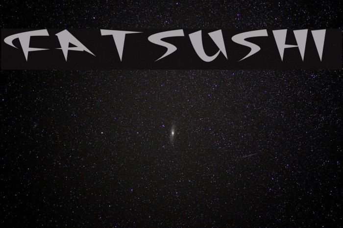 FatSushi Font examples