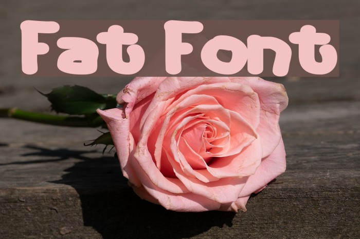 Fat Font examples