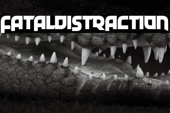 Fatal Distraction Example 3