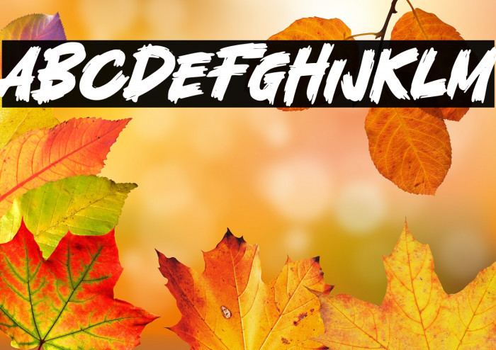 Fatal Fighter Example 2