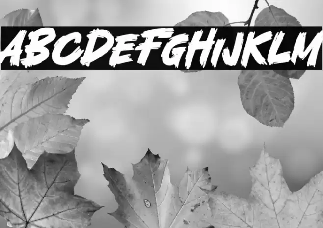 Fatal Fighter Schriftart examples