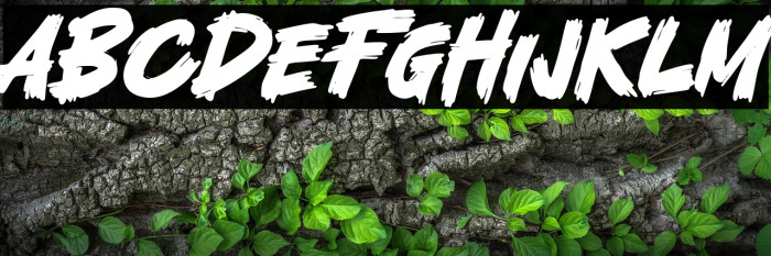 Fatal Fighter Example 3