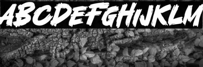 Fatal Fighter Schriftart examples