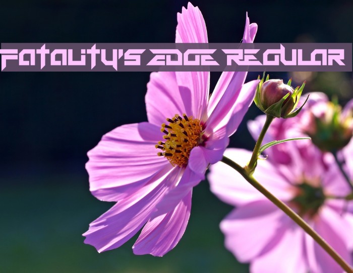 Fatality's Edge Regular Font examples