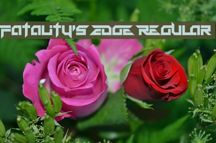 Fatality's Edge Regular Font examples