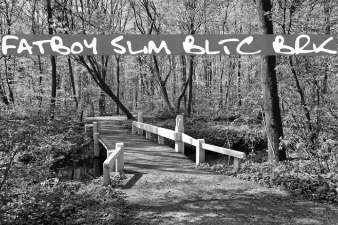 Fatboy Slim BLTC [BRK] Font examples