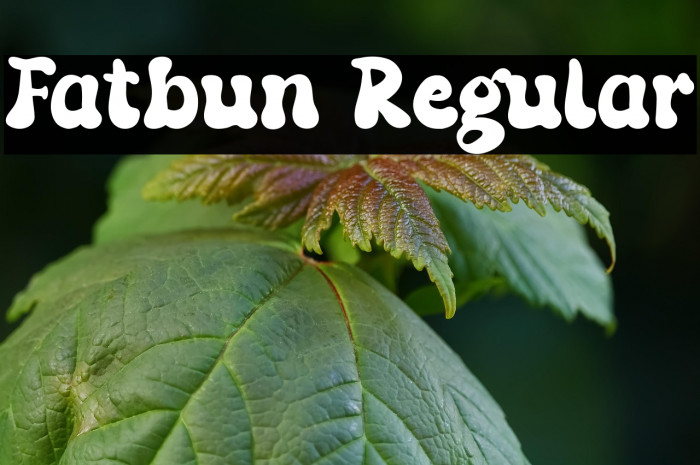 Fatbun Regular Example 3