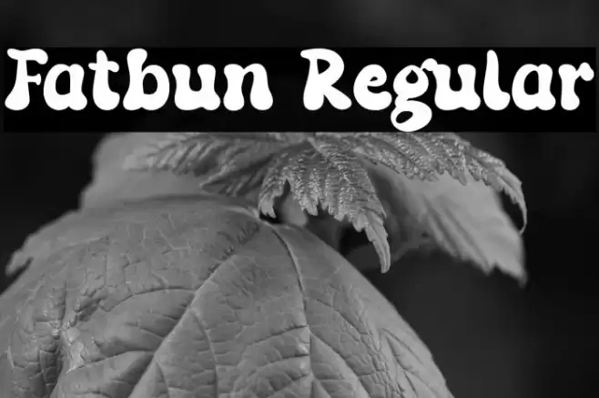 Fatbun Regular Font examples