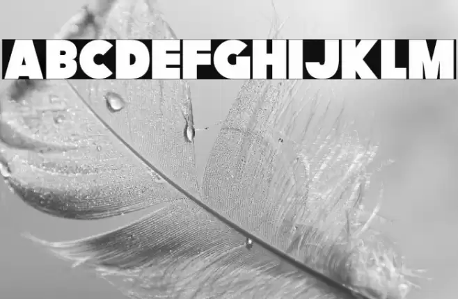 Fatcat Font examples