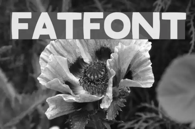 Fatfont Font examples