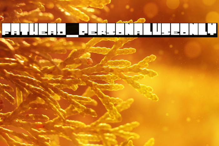 Fathead_PersonalUseOnly Example 2