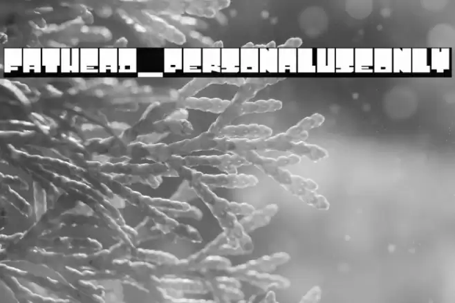 Fathead_PersonalUseOnly フォント examples